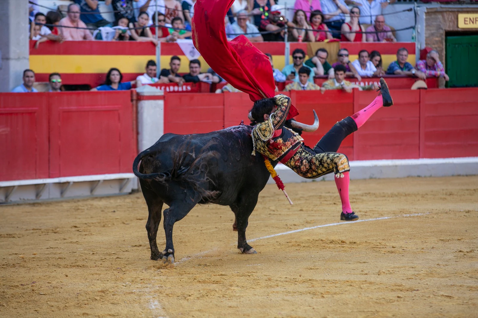 Borja Collado y Miguel Aguilar ponen broche triunfal a la feria del Corpus. El bastetano Aquilino Girón, que cortó una oreja y acreditó sobrado valor, acabó en la enfermería con una lesión en la rodilla