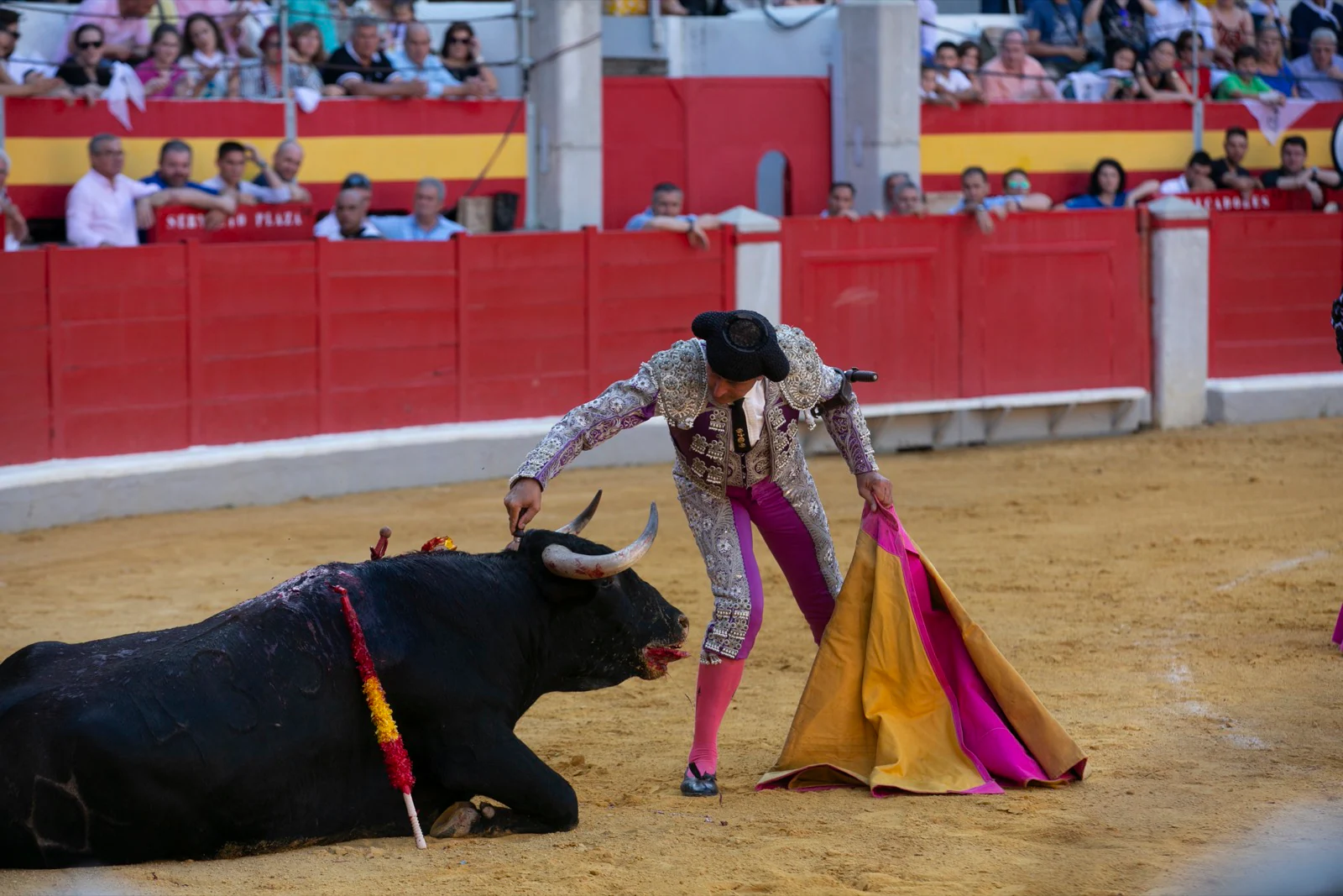 Borja Collado y Miguel Aguilar ponen broche triunfal a la feria del Corpus. El bastetano Aquilino Girón, que cortó una oreja y acreditó sobrado valor, acabó en la enfermería con una lesión en la rodilla