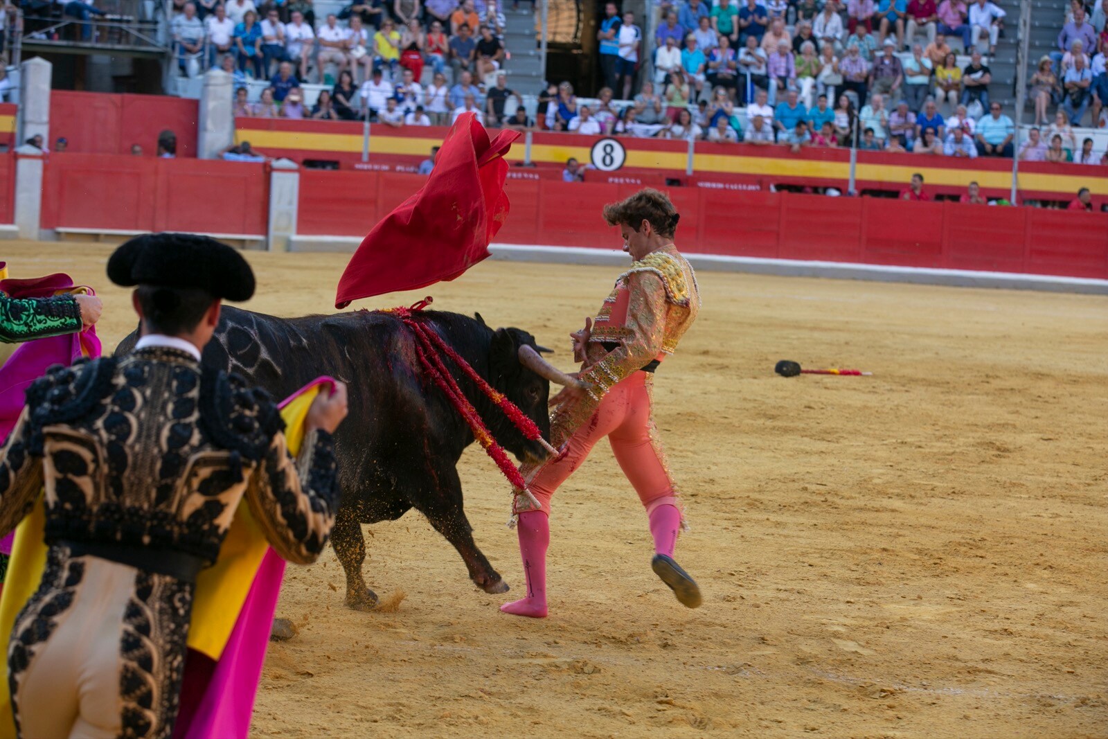 Borja Collado y Miguel Aguilar ponen broche triunfal a la feria del Corpus. El bastetano Aquilino Girón, que cortó una oreja y acreditó sobrado valor, acabó en la enfermería con una lesión en la rodilla