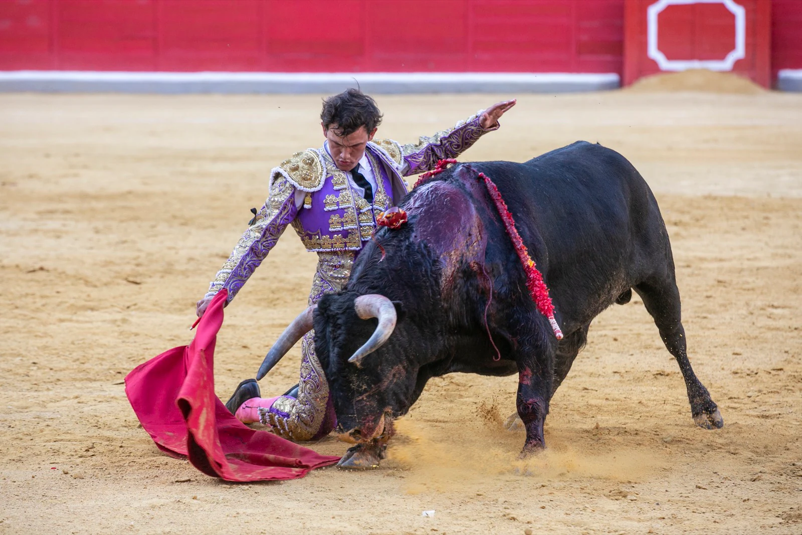 Borja Collado y Miguel Aguilar ponen broche triunfal a la feria del Corpus. El bastetano Aquilino Girón, que cortó una oreja y acreditó sobrado valor, acabó en la enfermería con una lesión en la rodilla