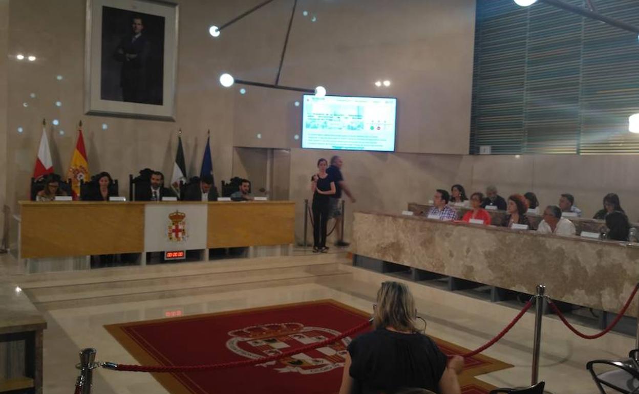 Pleno del Ayuntamiento de Almería, esta mañana. 