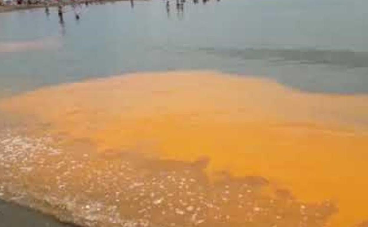 Playas de Granada | ¿Qué son las manchas naranjas en las playas de Motril y Almuñécar? La noctiluca tiene la explicación