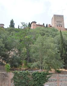 Imagen secundaria 2 - Muerte de un indigente en Granada | Colocan vallas para evitar el paso de &#039;okupas&#039; al Carmen del Granaíllo