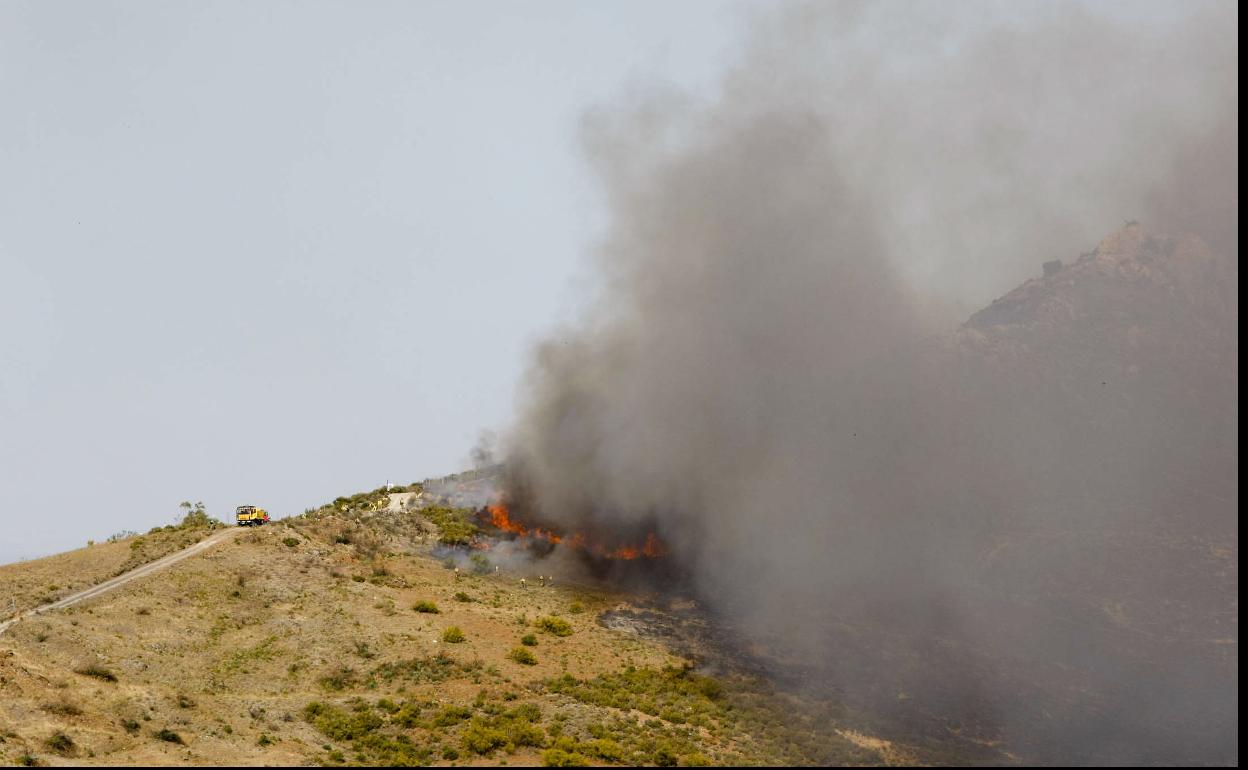 Imagen de archivo de un fuego forestal.