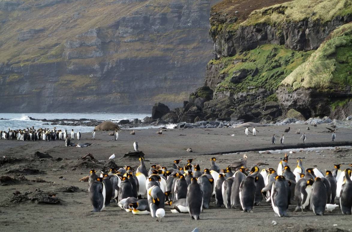 12. Tierras y mares australes franceses. Situados en el oceáno Austral que rodea la Antártida, este sitio que ya forma parte de la lista de Patrimonio Mundial de la Unesco incluye el archipiélago de Crozet, las islas Kerguelen, las islas de Saint-Paul y Nueva Amsterdam y sesenta islotes. Constituyen una de las mayores áreas marinas protegidas del mundo y tiene una superficie de casi 673.000 km2. Son un remanso de paz para una gran cantidad de mamíferos marinos y aves, entre los que destaca el pingüino rey.