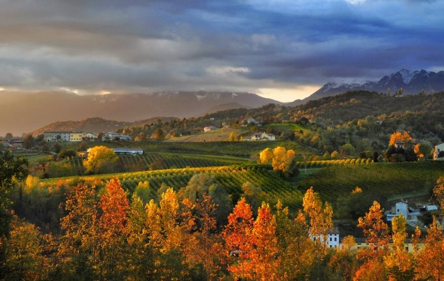 27. Conegliano y Valdobbiadene (Italia): Situado al nordeste de Italia, este sitio abarca una parte del paisaje formado por terrenos de viñedos en los que se produce el vino prosecco. Ese paisaje vitivinícola se caracteriza por la presencia de bosques, de colinas de vertientes abruptas, de tierras de labranza y de aldeas, así como por la de pequeñas parcelas de vides cultivadas en estrechas terrazas con césped llamadas ciglioni. 