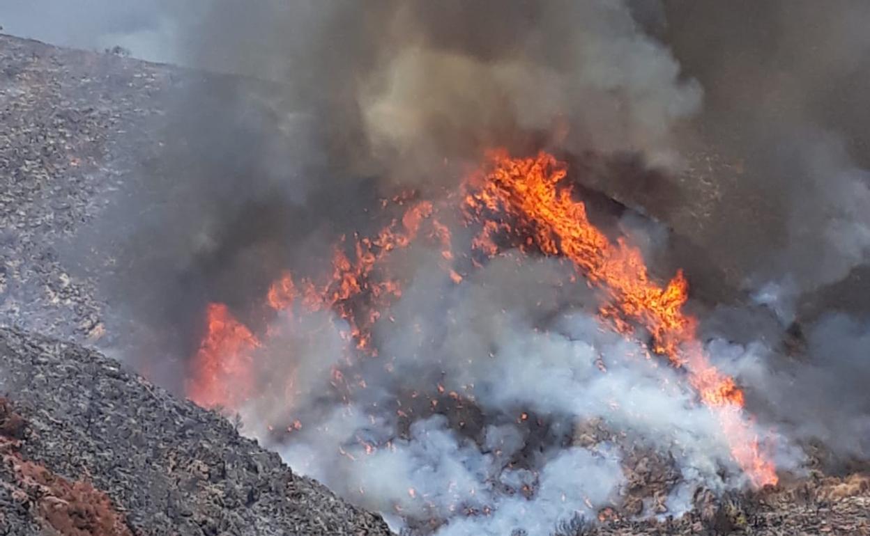 Incendio en Almería | Controlado el incendio de Terque que afecta a una superficie de casi 1.200 hectáreas