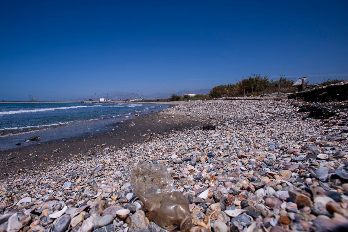 Playa de las Azucenas (Foto: Javier Martín)