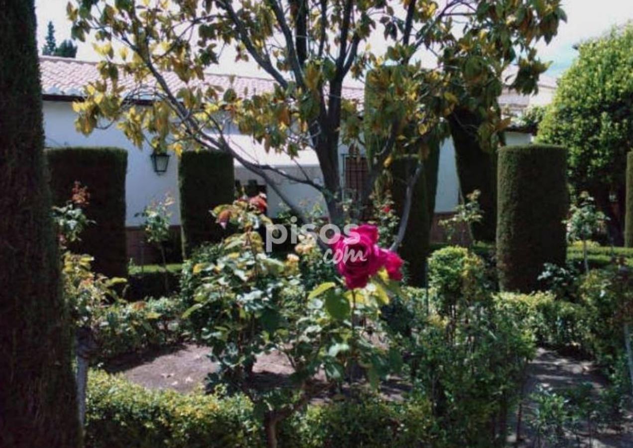 Carmen de 1000 metros cuadrados de parcela y 380 de vivienda en Calle del Conde, Albaicín (2 millones de euros). Tiene 6 habitaciones y 3 baños, jardín y terraza.