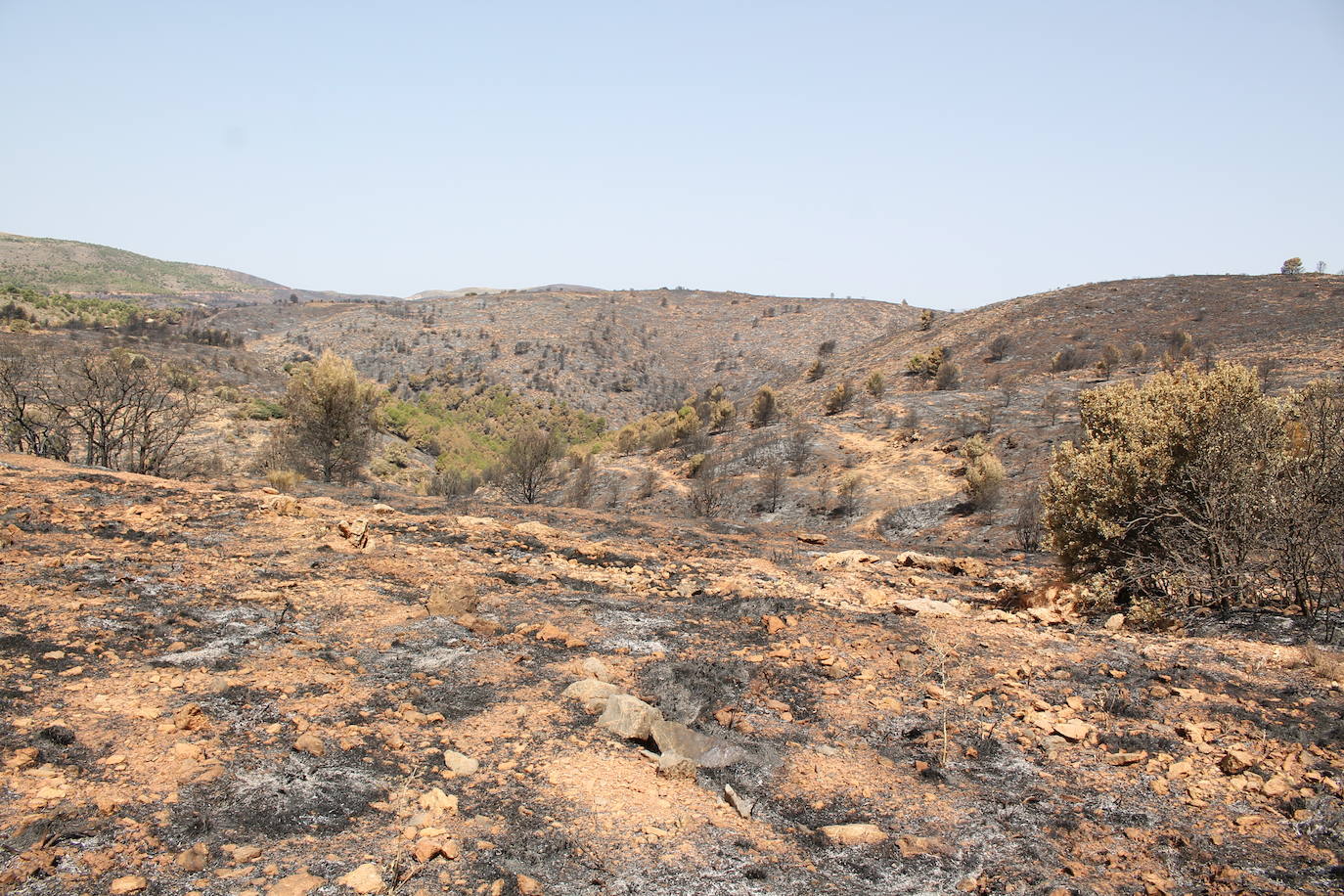 La Junta estudia cómo recuperar las 1.200 hectáreas quemadas y promete invertir el 100% de los recursos económicos
