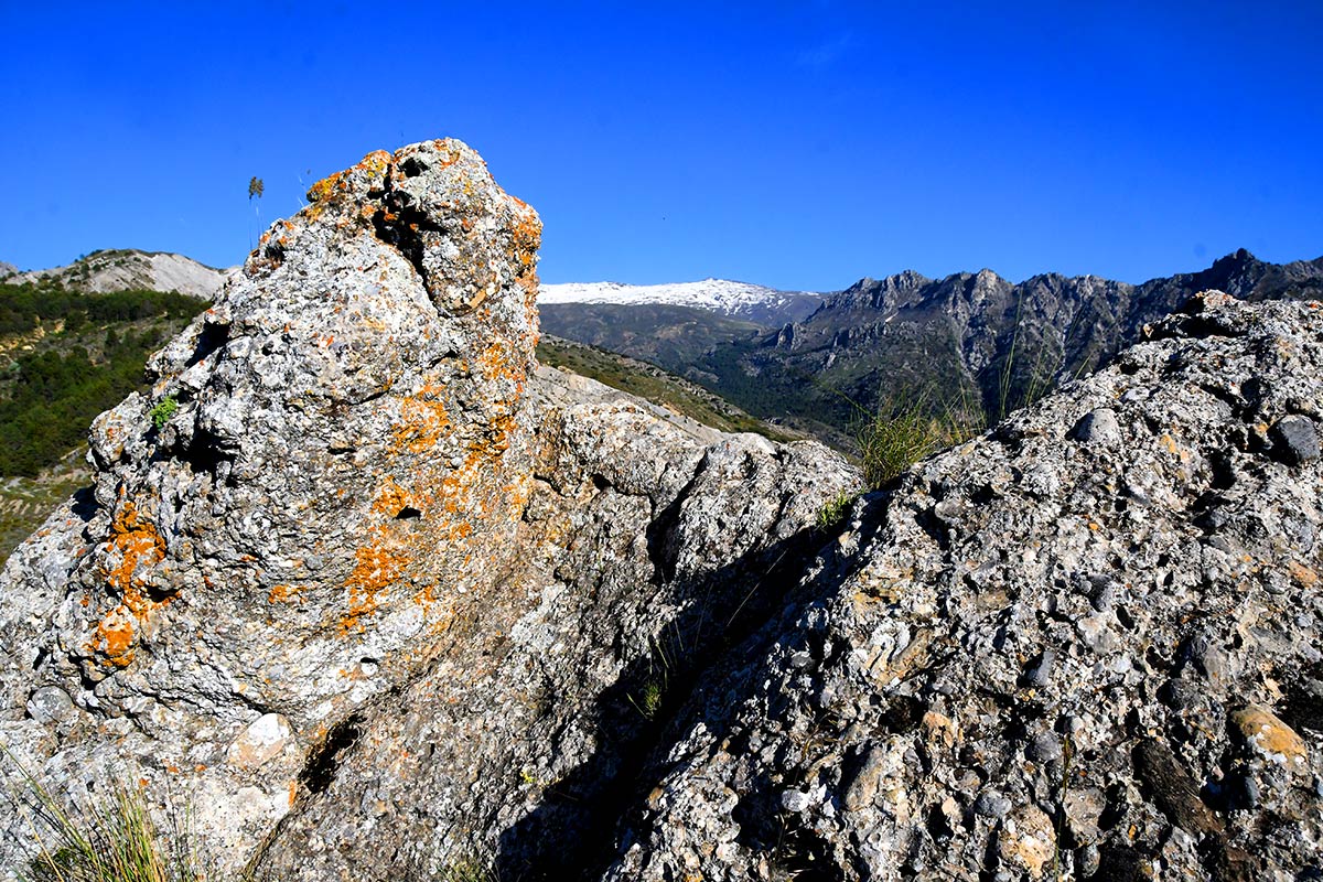 Sierra Nevada emergió de las aguas y convirtió sus laderas en la frontera sur del nuevo continente europeo. Especies marinas vivieron en charcas de marea que se extendían desde el valle de Lecrín hasta las puertas de Granada 