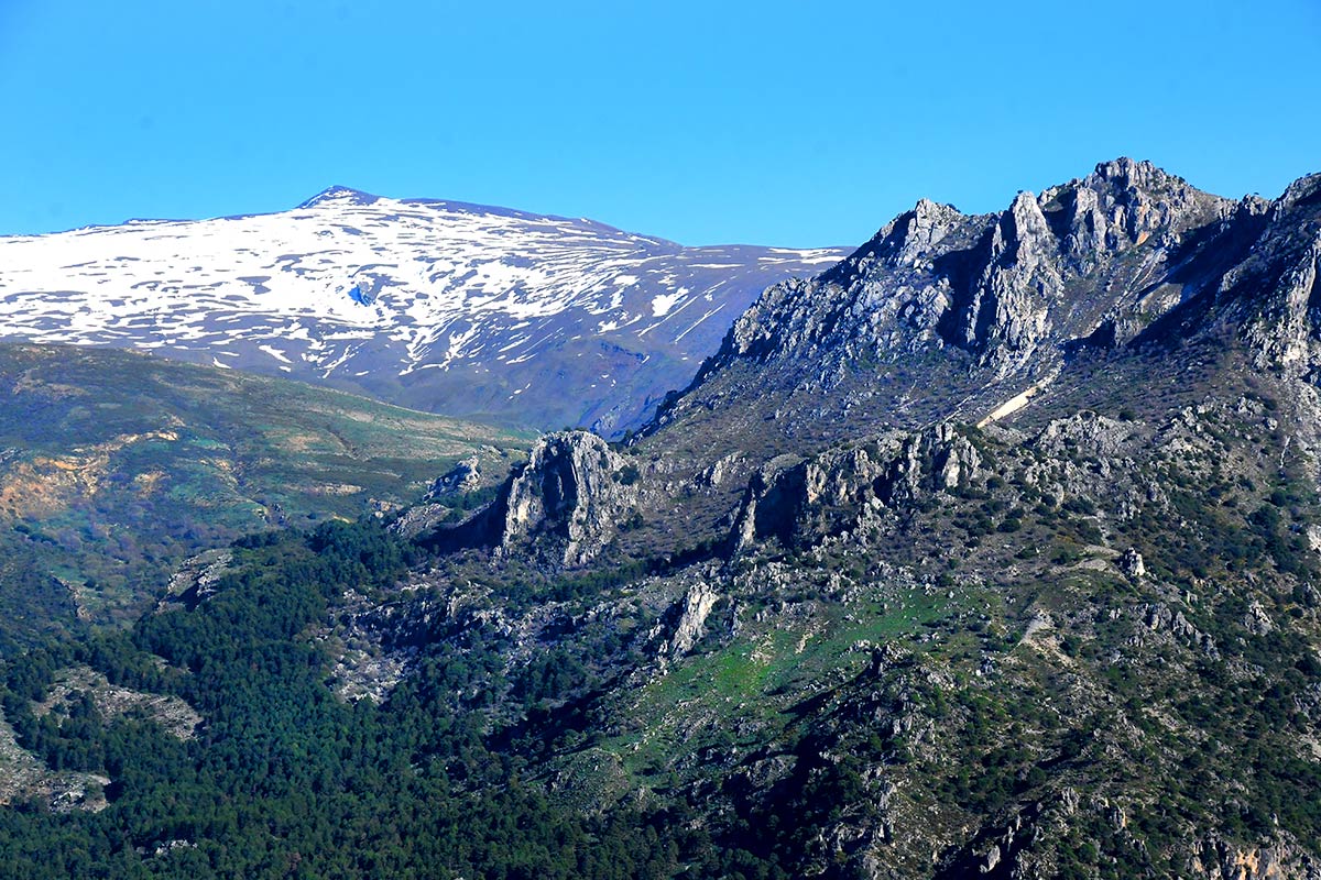Sierra Nevada emergió de las aguas y convirtió sus laderas en la frontera sur del nuevo continente europeo. Especies marinas vivieron en charcas de marea que se extendían desde el valle de Lecrín hasta las puertas de Granada 