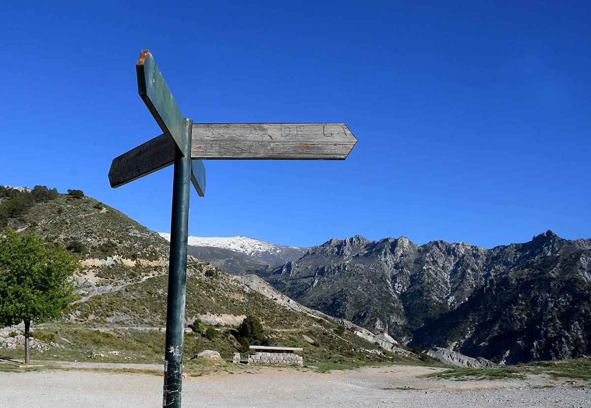 Sierra Nevada emergió de las aguas y convirtió sus laderas en la frontera sur del nuevo continente europeo. Especies marinas vivieron en charcas de marea que se extendían desde el valle de Lecrín hasta las puertas de Granada 