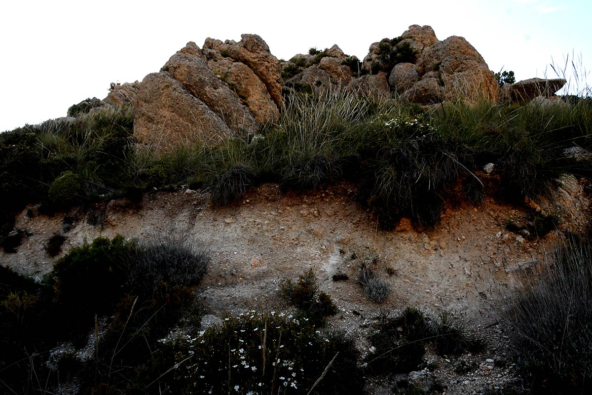 Sierra Nevada emergió de las aguas y convirtió sus laderas en la frontera sur del nuevo continente europeo. Especies marinas vivieron en charcas de marea que se extendían desde el valle de Lecrín hasta las puertas de Granada 
