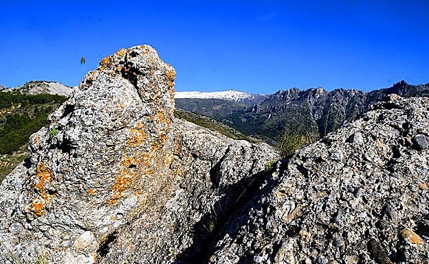 Imagen principal - Los Alayos y la ladera del Veleta desde el cerro Sevilla | cruce de caminos hacia la Boca de la Pescá | rocas con signos de fauna marina 