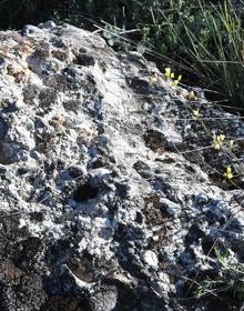 Imagen secundaria 2 - Los Alayos y la ladera del Veleta desde el cerro Sevilla | cruce de caminos hacia la Boca de la Pescá | rocas con signos de fauna marina 