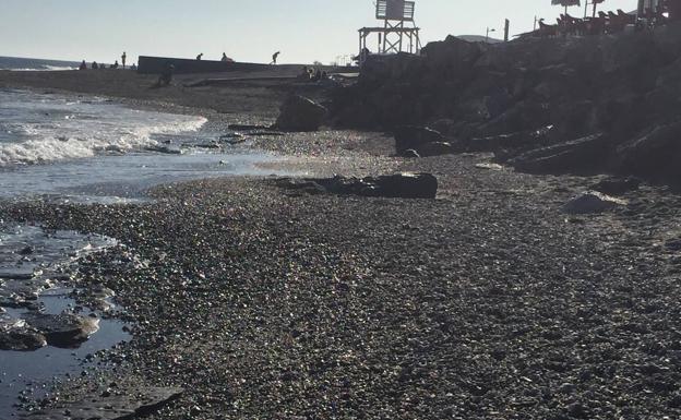 Así ha quedado la playa de Carchuna despué del temporal del fin de semana