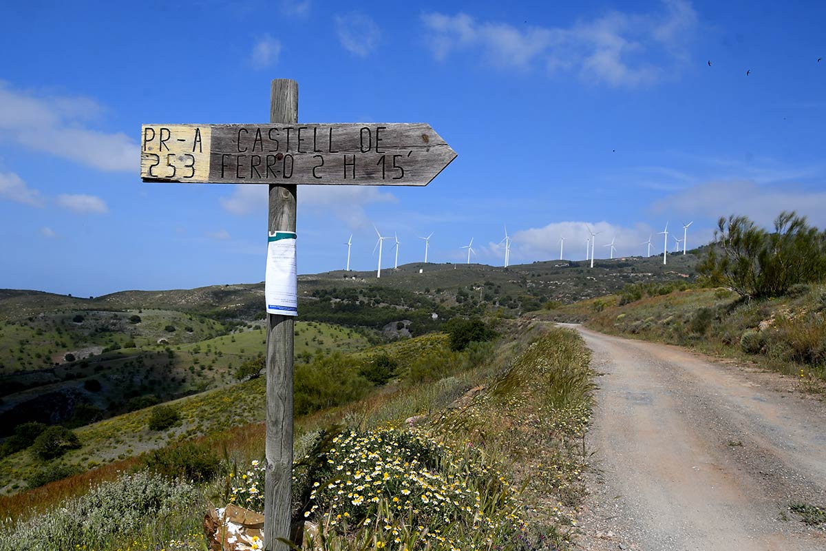 El pico del Águila se alza desde los acantilados de la Rijana para convertirse en el techo del litoral de Granada. Es la más alta atalaya costera, un picacho utilizado como refugio desde el neolítico, donde sobreviven especies únicas