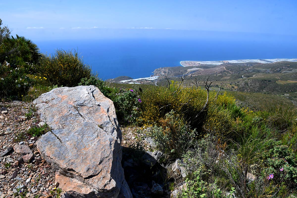 El pico del Águila se alza desde los acantilados de la Rijana para convertirse en el techo del litoral de Granada. Es la más alta atalaya costera, un picacho utilizado como refugio desde el neolítico, donde sobreviven especies únicas