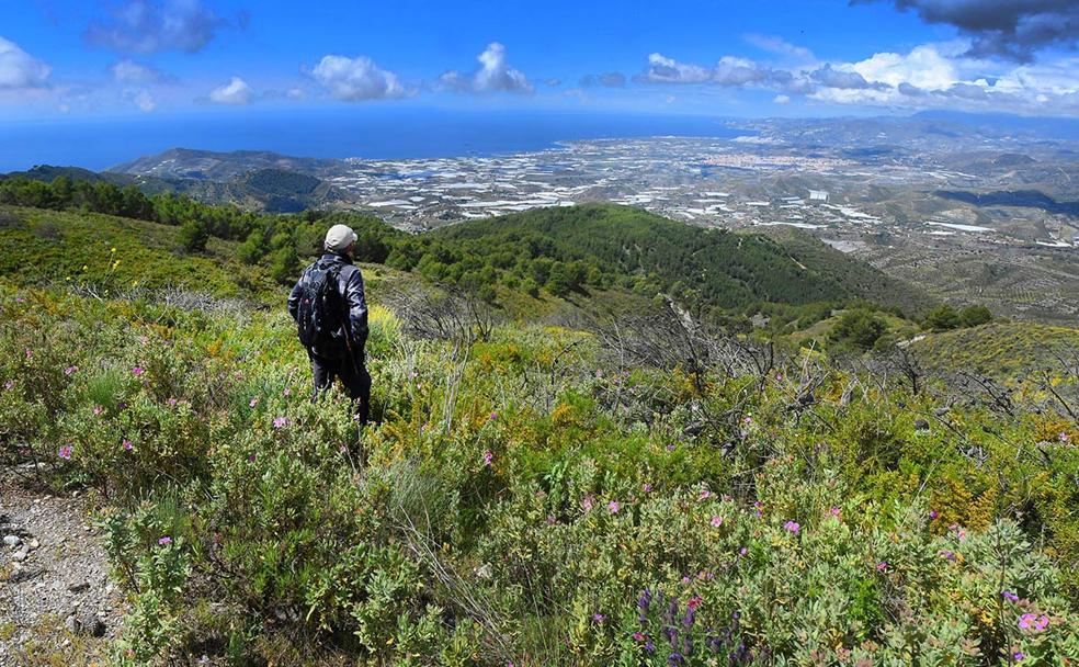 Motril, el delta del Guadalfeo y la costa tropical occidental de Granada desde el cerro del Conjuro 