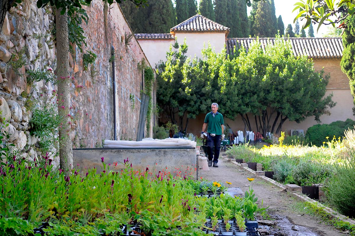 Entre el Generalife y la Alhambra aún perdura el vergel de los sultanes y sus almunias. Conocer los huertos es adentrarse en el único espacio monumental andalusí cultivado sin pausa desde hace más de 800 años