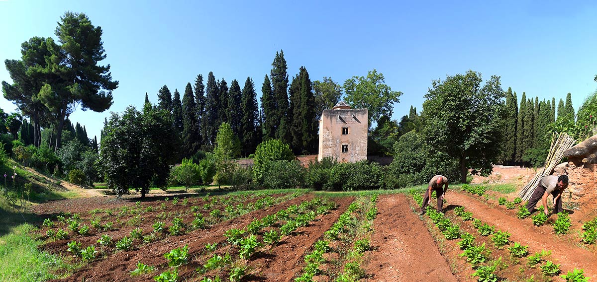 Entre el Generalife y la Alhambra aún perdura el vergel de los sultanes y sus almunias. Conocer los huertos es adentrarse en el único espacio monumental andalusí cultivado sin pausa desde hace más de 800 años