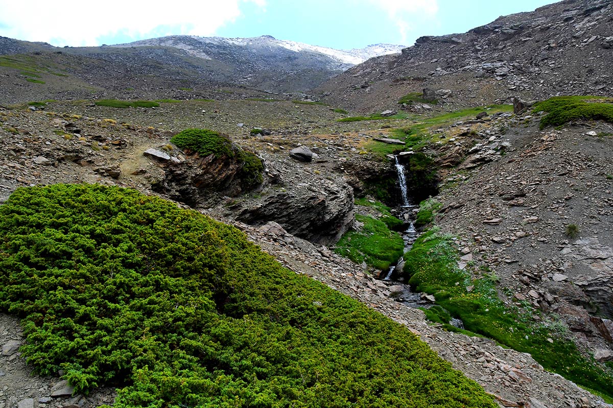 Desde los borreguiles donde nace el río San Juan hacia los tajos de la Mora, el agua camina entre pastizales y pedregales