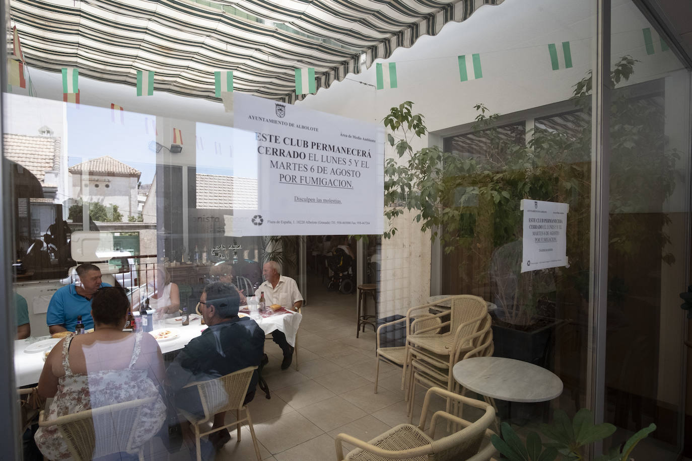 Albolote celebra su tradicional comida de homenaje a los mayores