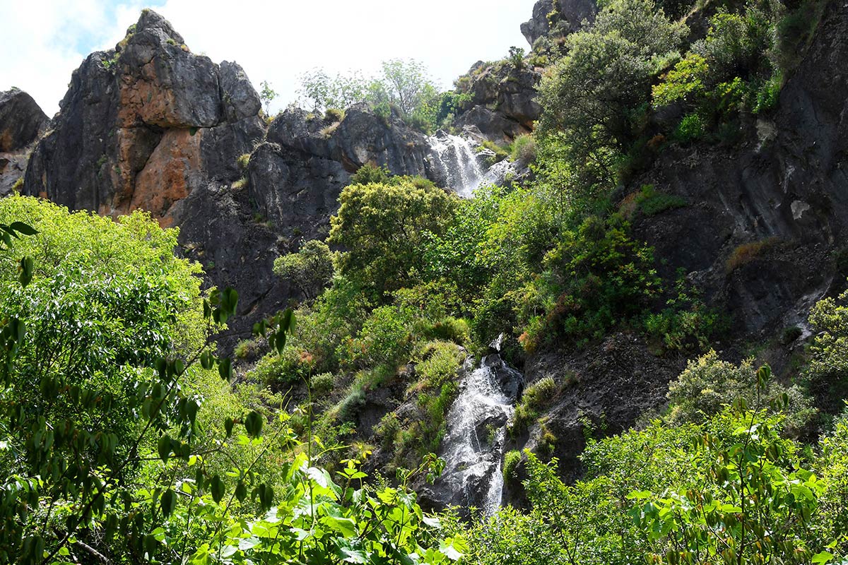 ntre Monachil y los Cahorros un sendero abre sus riberas ocultas bajo álamos y saucedas | Un sendero recorre la ribera del río para acceder a los puentes y cerradas de los tajos dolomíticos más frecuentados de Sierra Nevada