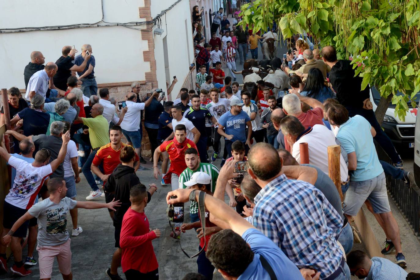 Los encierros más antiguos de España han puesto punto final a su edición 2019 con motivo de las fiestas patronales de este localidad granadina de 700 habitantes