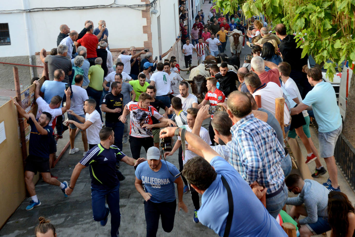 Los encierros más antiguos de España han puesto punto final a su edición 2019 con motivo de las fiestas patronales de este localidad granadina de 700 habitantes