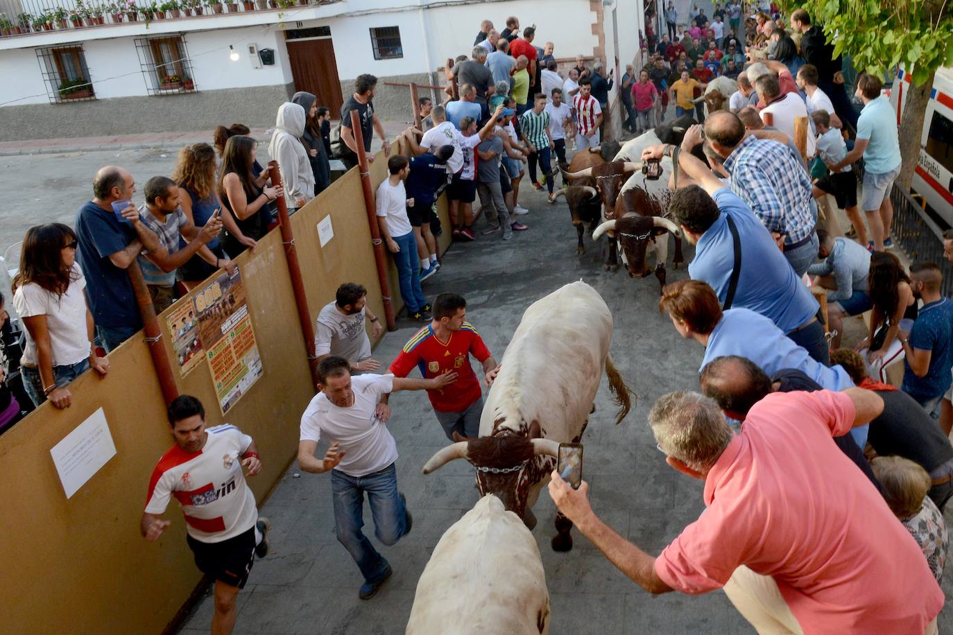 Los encierros más antiguos de España han puesto punto final a su edición 2019 con motivo de las fiestas patronales de este localidad granadina de 700 habitantes
