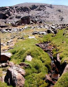 Imagen secundaria 2 - Ganado en el pastizal; la laguna de las Yeguas convertida en embalse; arroyo que se convierte en el nacimiento del río Dílar 