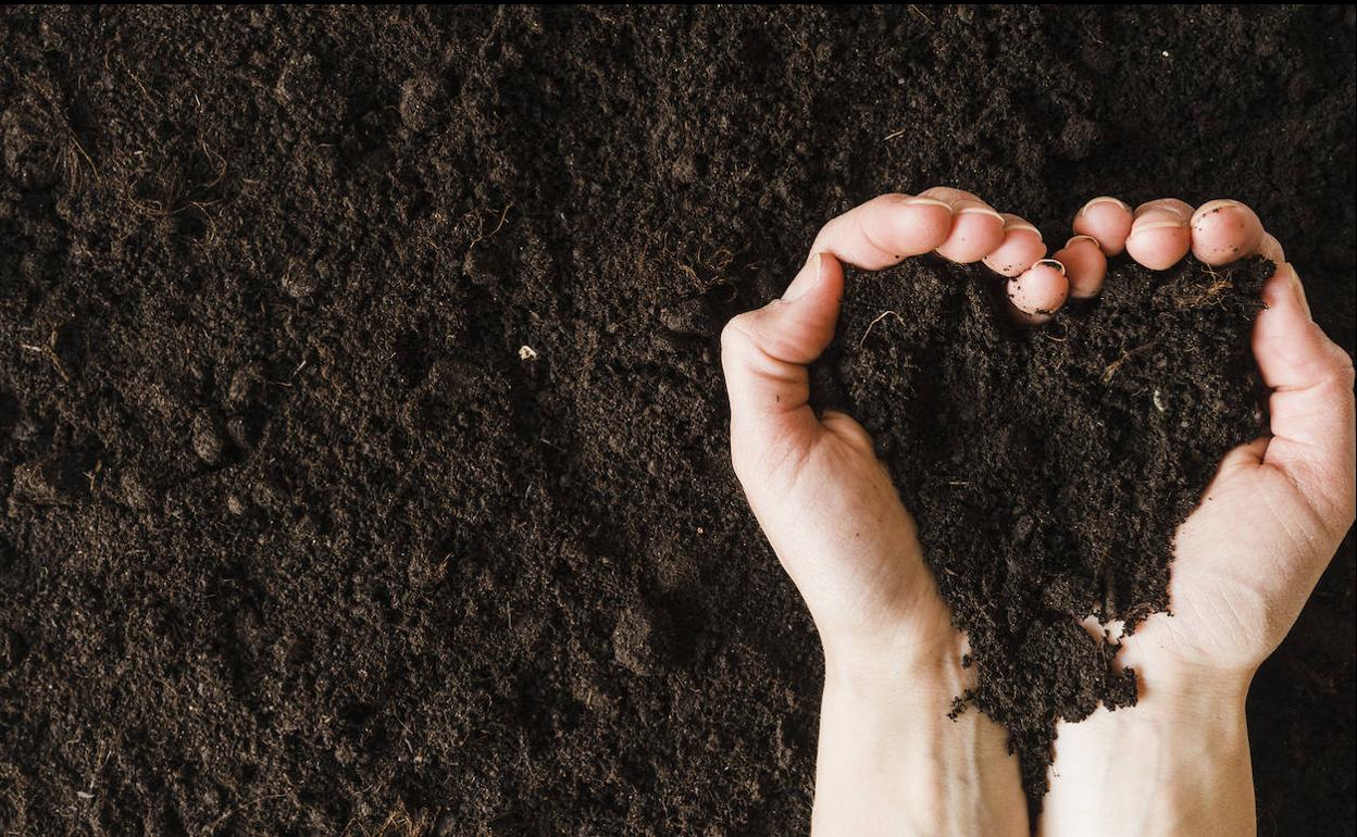 Por Adela casi muero