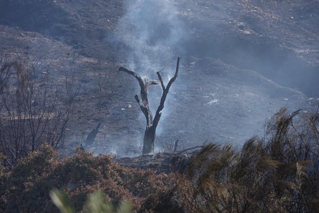 Así han actuado los dispositivos del plan Infoca en el incendio forestal de Pinos del Valle