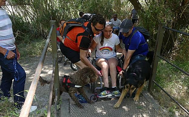 Un puente que no es accesible dificulta la llegada a Pinos Genil. 