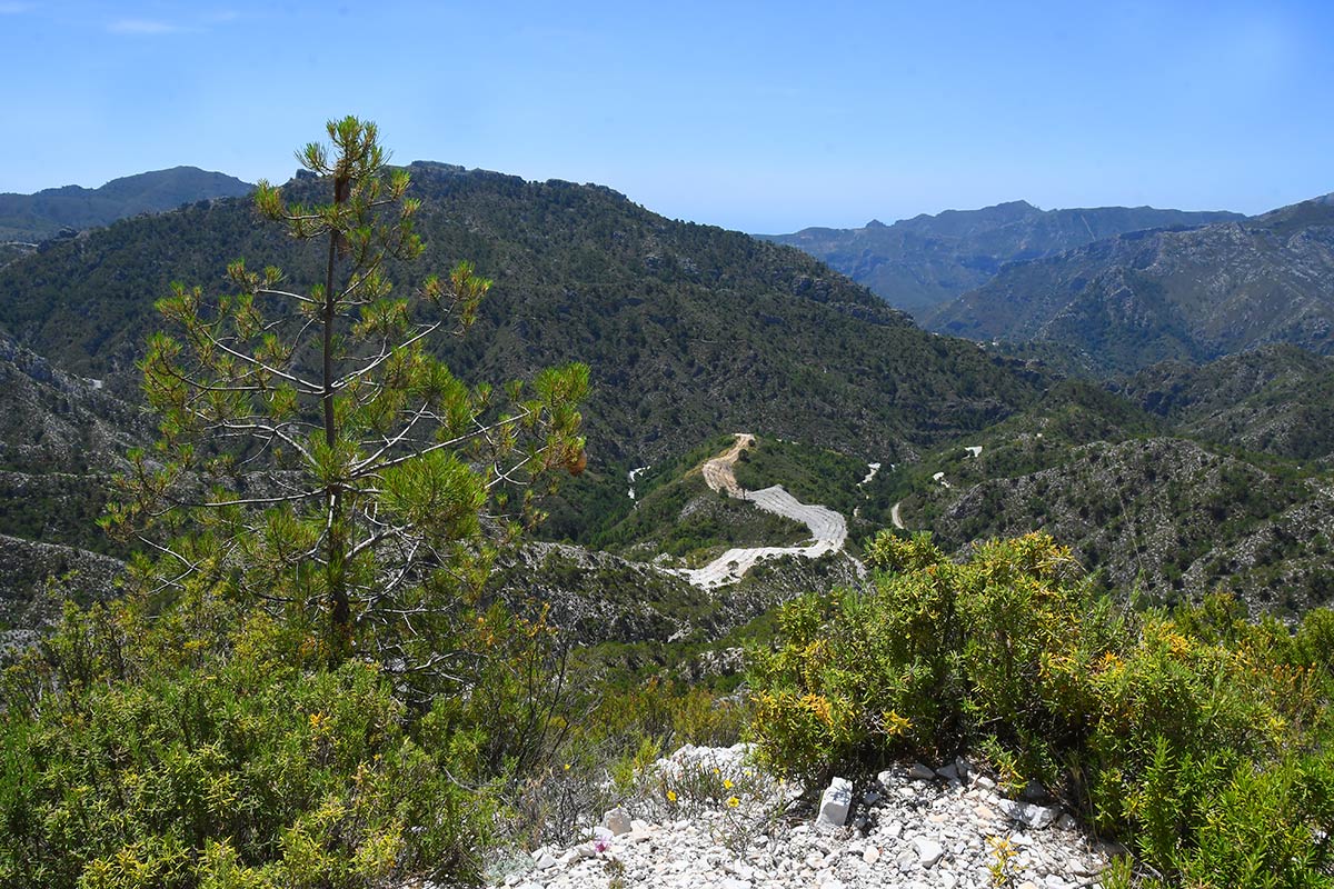 La antigua ruta de las diligencias y el tortuoso camino de Granada a la Costa en los años 60, una inmersión en tierras de paisajes quebrados que muestran múltiples ecosistemas y atesoran la historia de un territorio único 