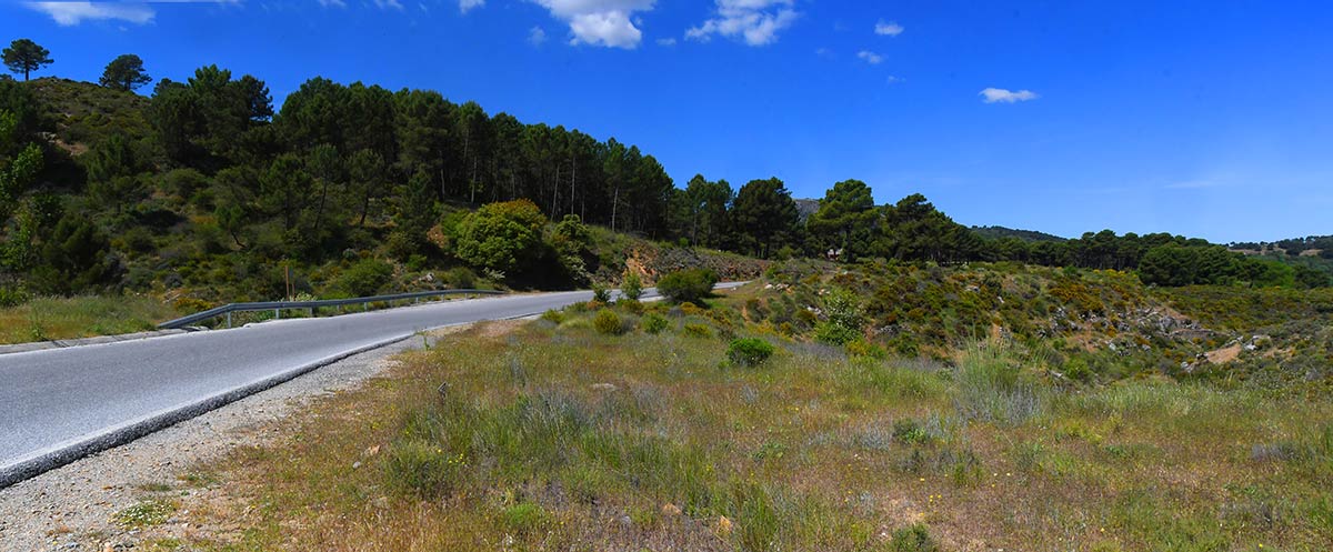La antigua ruta de las diligencias y el tortuoso camino de Granada a la Costa en los años 60, una inmersión en tierras de paisajes quebrados que muestran múltiples ecosistemas y atesoran la historia de un territorio único 