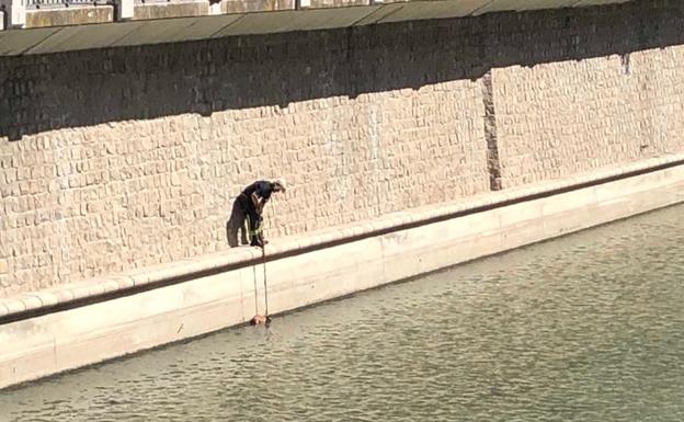 Inesperado rescate en Granada: bomberos salvan a un perro caído al río Genil