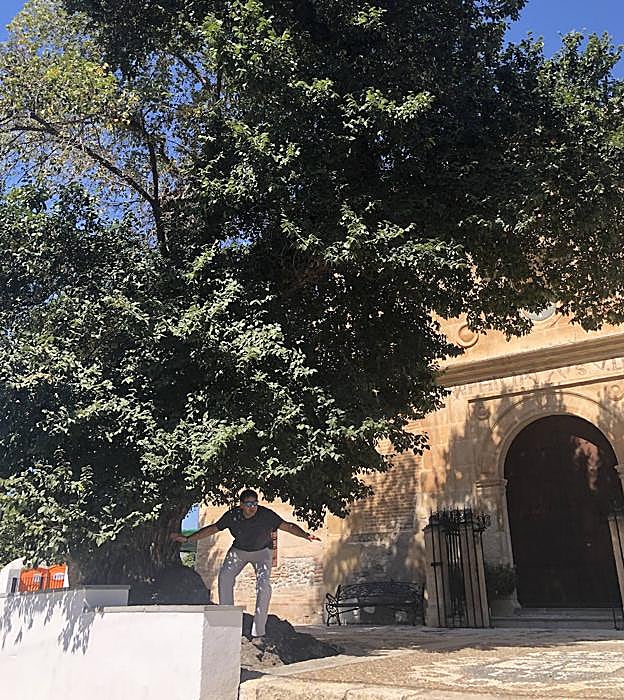 El olmo de Melegís que no da peras. 