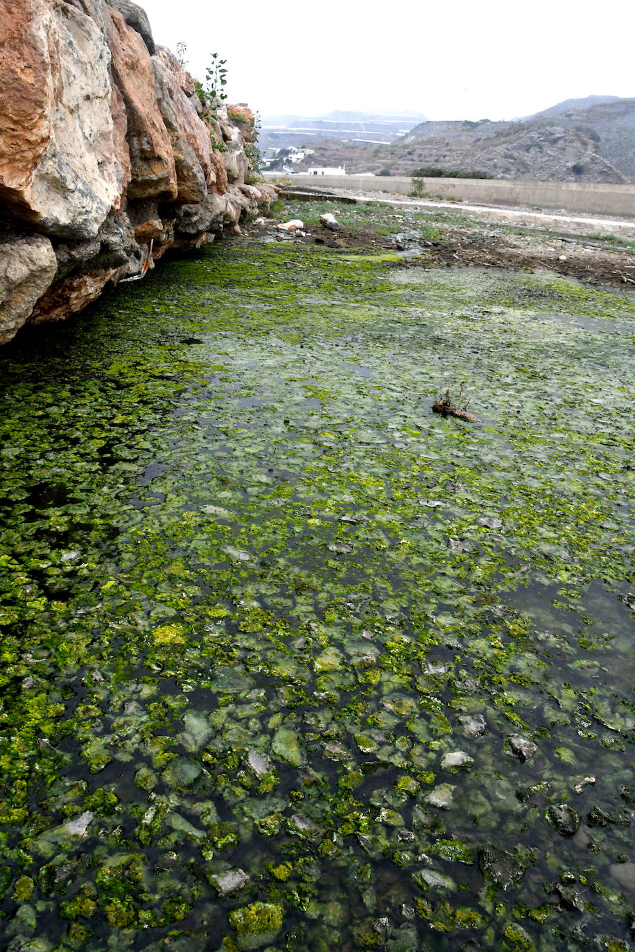 Una charca de aguas fecales vierte en el mar de Albuñol