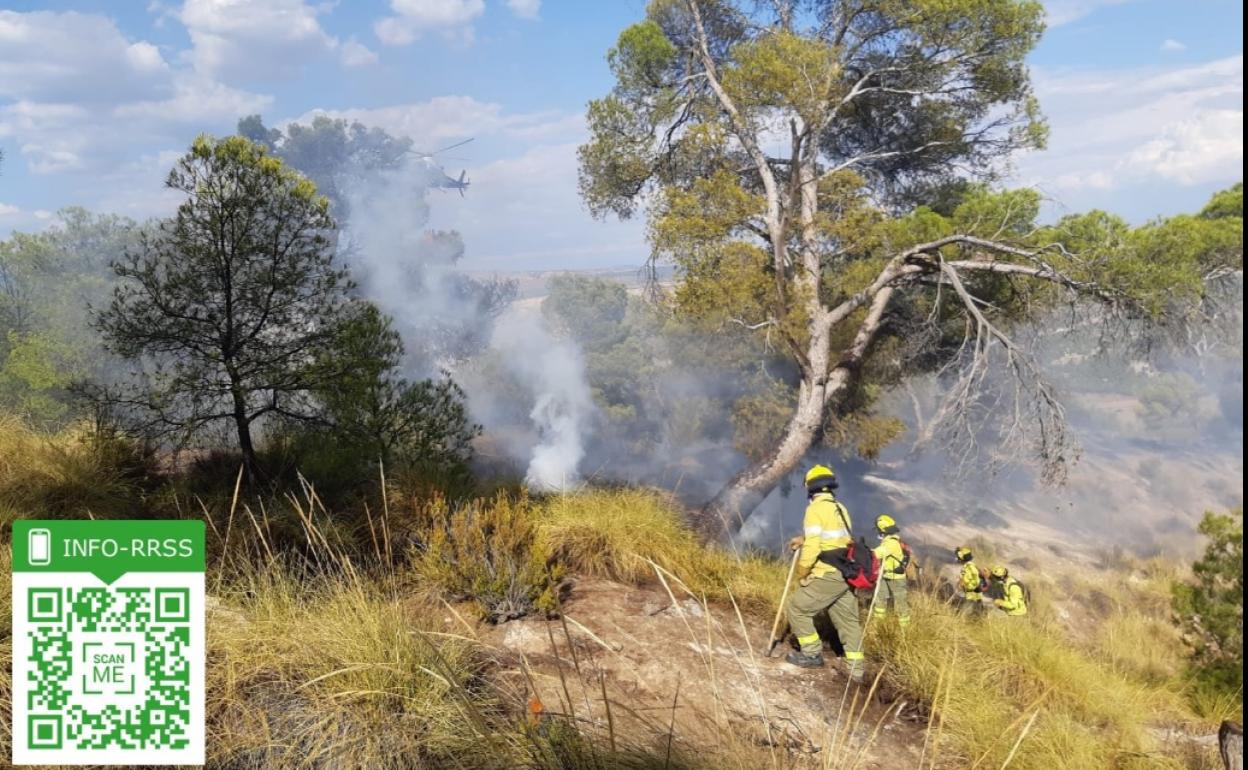 Imagen de los agentes forestales actuando en la zona afectada. 