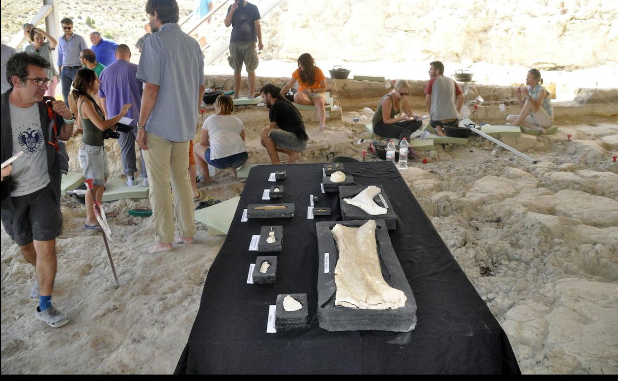 Aplazan el inicio de la segunda fase de excavaciones de Orce en Granada por cuestiones técnicas