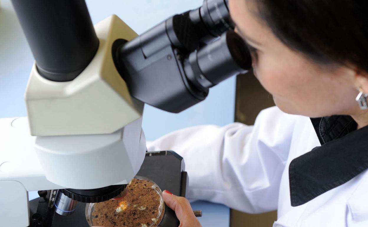 El primer laboratorio digital de anatomía patológica, ubicado en Granada, incrementa en 21% sus casos