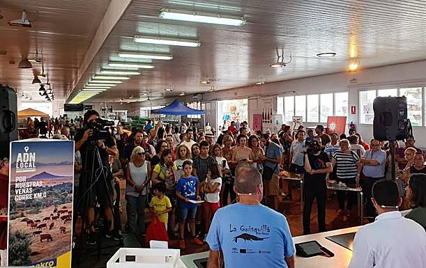 Imagen principal - El Ayuntamiento de Motril retoma el proyecto para que la quisquilla tenga denominación de origen