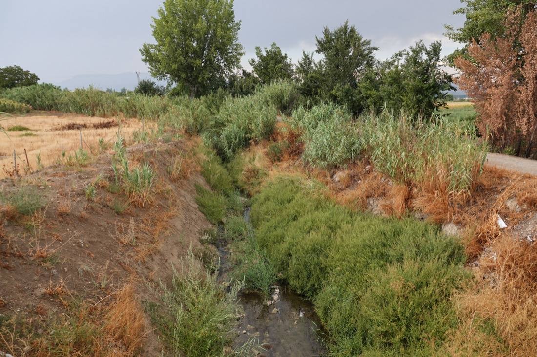 Así ha sido el recorrido de la Virgen de la Aurora por las calles de Granada