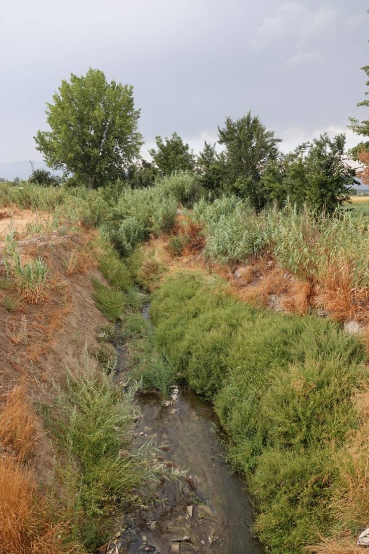 Así ha sido el recorrido de la Virgen de la Aurora por las calles de Granada