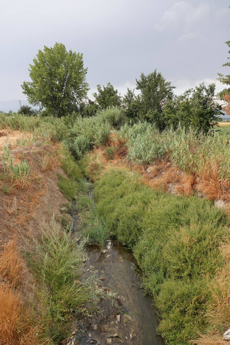 El cauce del Arroyo del Salado de Santa Fe. 