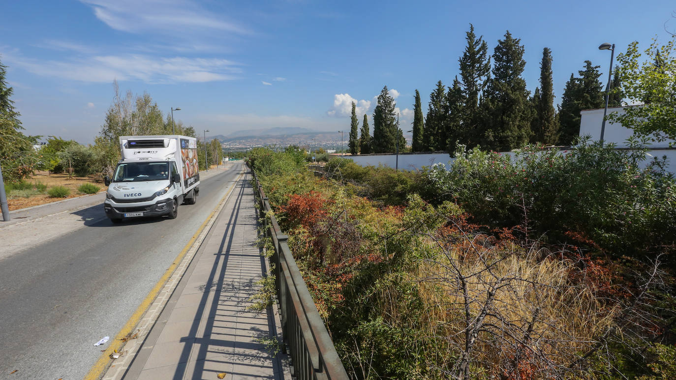 Barranco Hondo, en Ogíjares. 