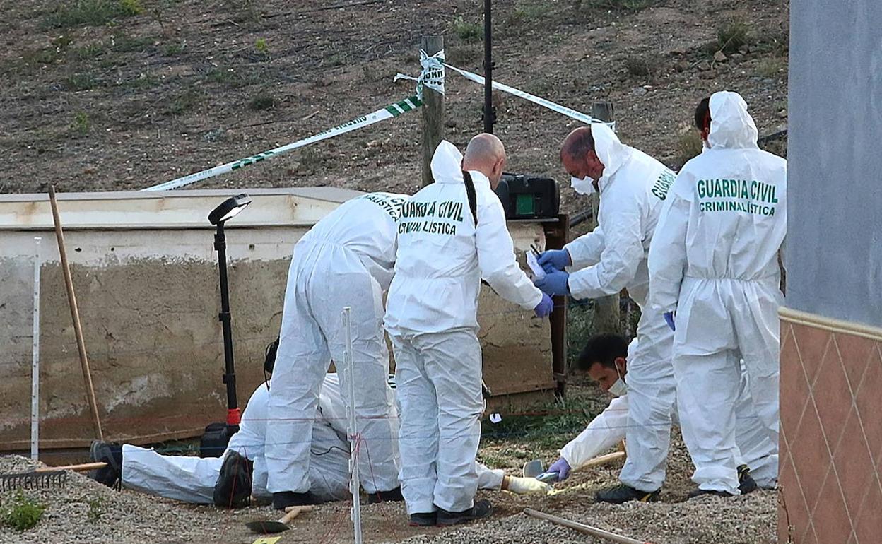 La Guardia Civil, durante la investigación. 